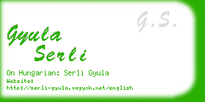 gyula serli business card